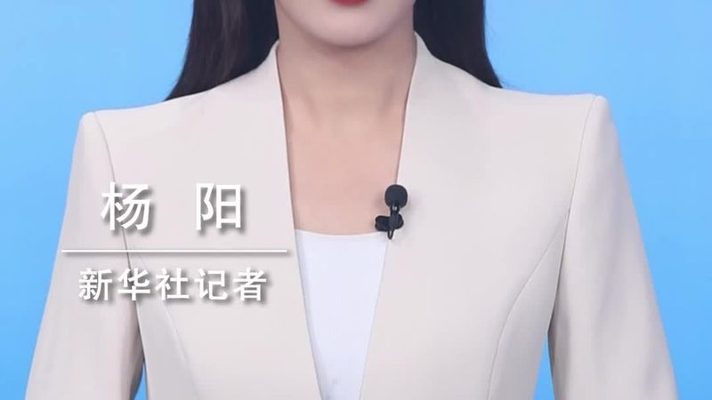 上海SaaS平台：揭秘价格背后的价值因素